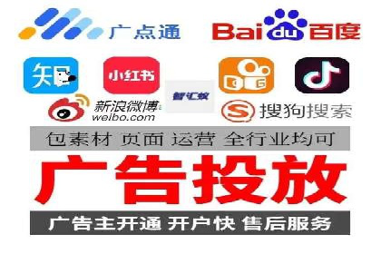 行业领先的SEM竞价广告投放案例